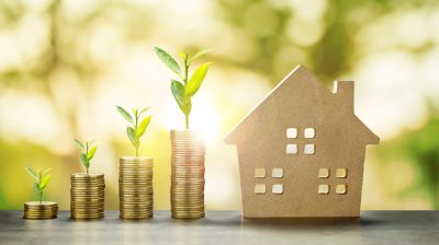 Increase Your Property Value!