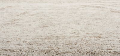 Improve the Appearance and Value of Your Home with New Carpet!